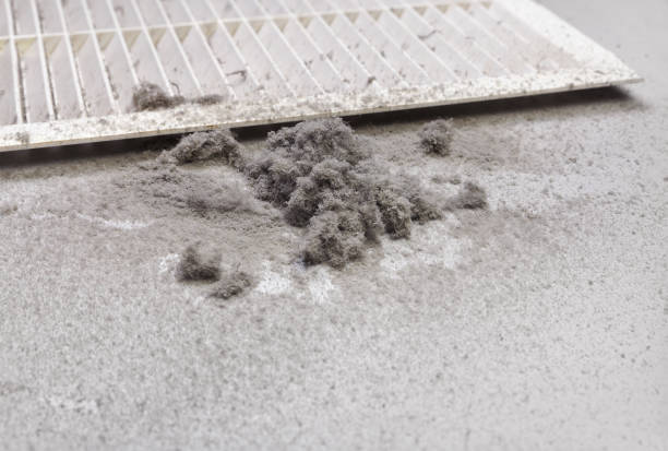 Best HVAC Duct Inspection Services  in Berwick, LA