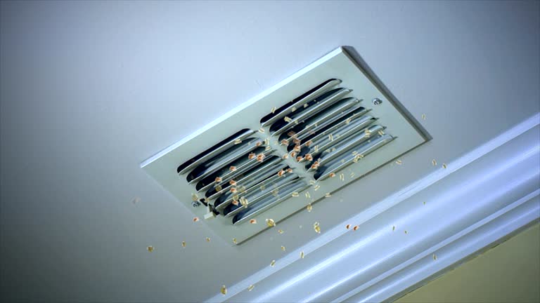 Best Air Duct Cleaning Near Me  in Berwick, LA