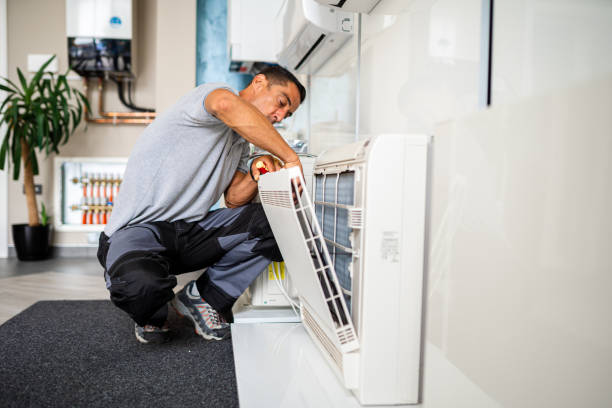 Best Air Duct Mold Removal  in Berwick, LA