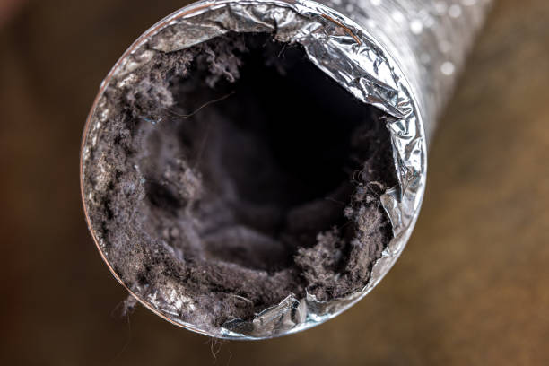 Best Home Air Vent Cleaning  in Berwick, LA
